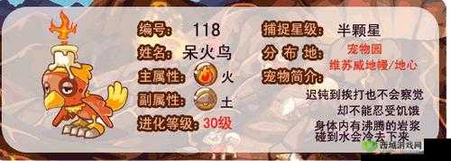 洛克王国火系试炼攻略大揭秘：活动全通关秘籍汇总