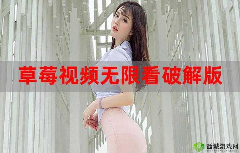 草莓视频app懂你更多破解版好用吗？来这里了解其独特之处与功能